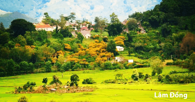 Nội thành Đà Lạt - Lâm Đồng