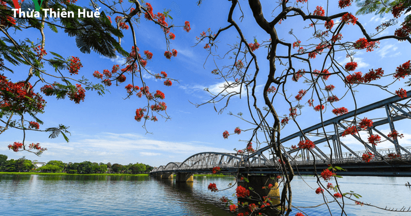 Vé máy bay giá rẻ xuất phát từ sân bay Phú Bài