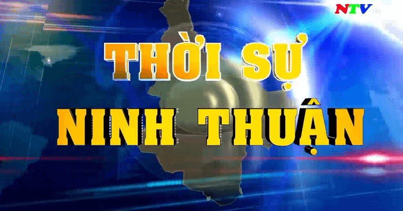 Lịch phát sóng kênh THNT